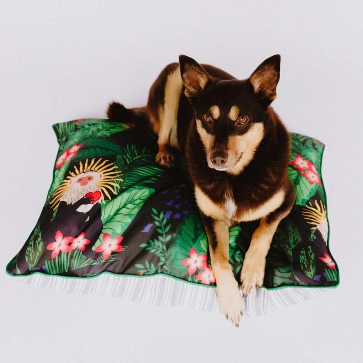 The Gamora Double‑Sided Dog Training Mat & Bed
