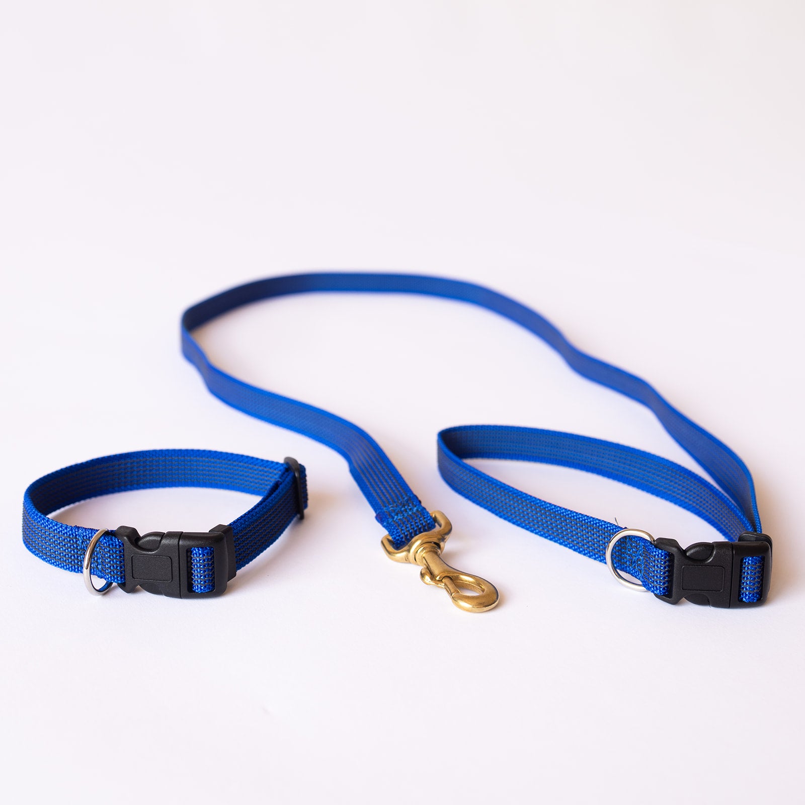 TASAA Dog Collar and Café Snap Stay Lead Set