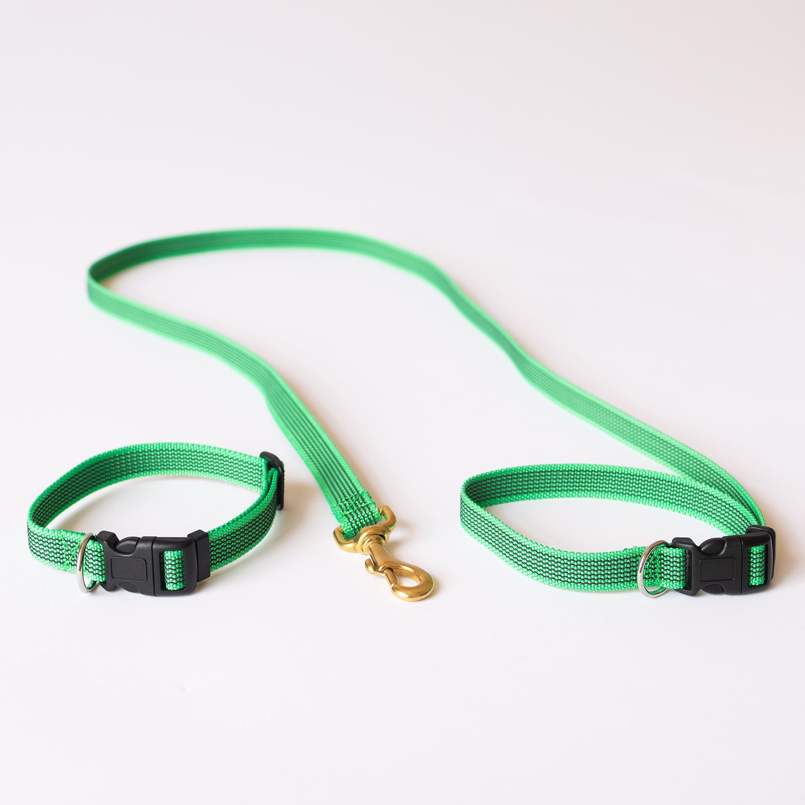 TASAA Dog Collar and Café Snap Stay Lead Set