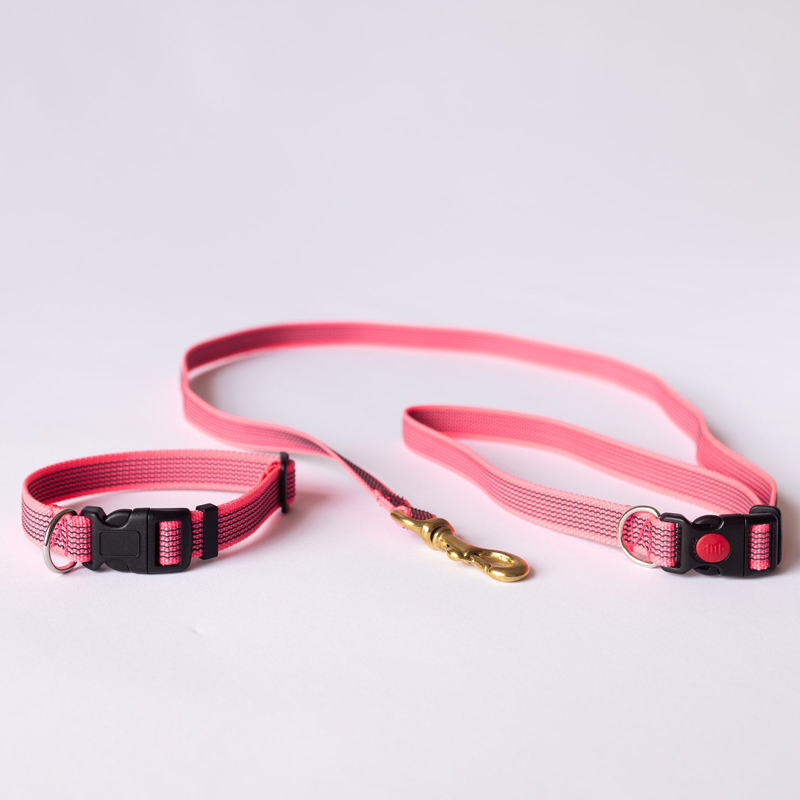 TASAA Dog Collar and Café Snap Stay Lead Set