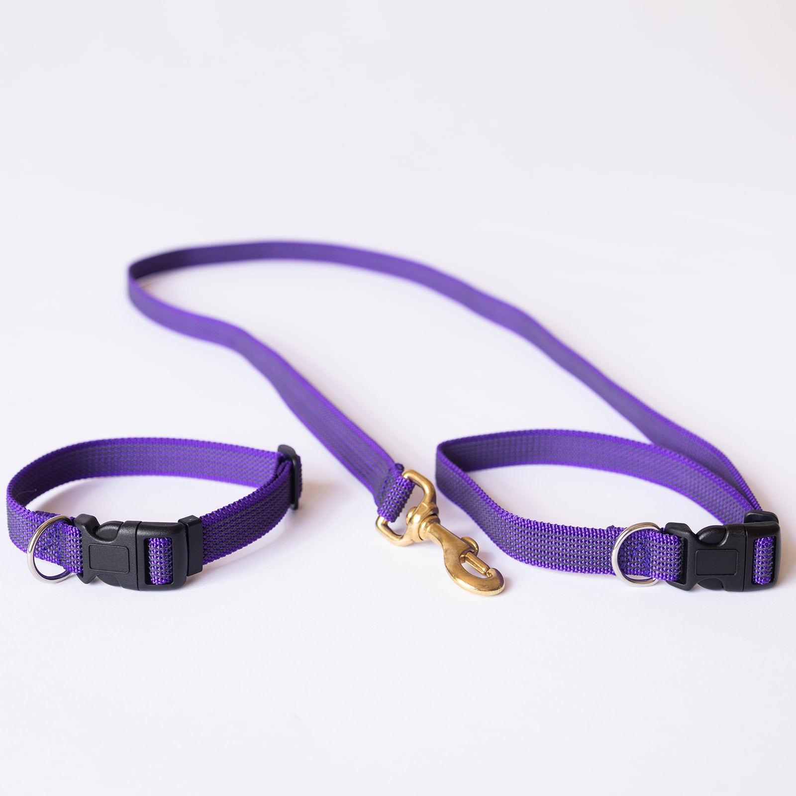 TASAA Dog Collar and Café Snap Stay Lead Set