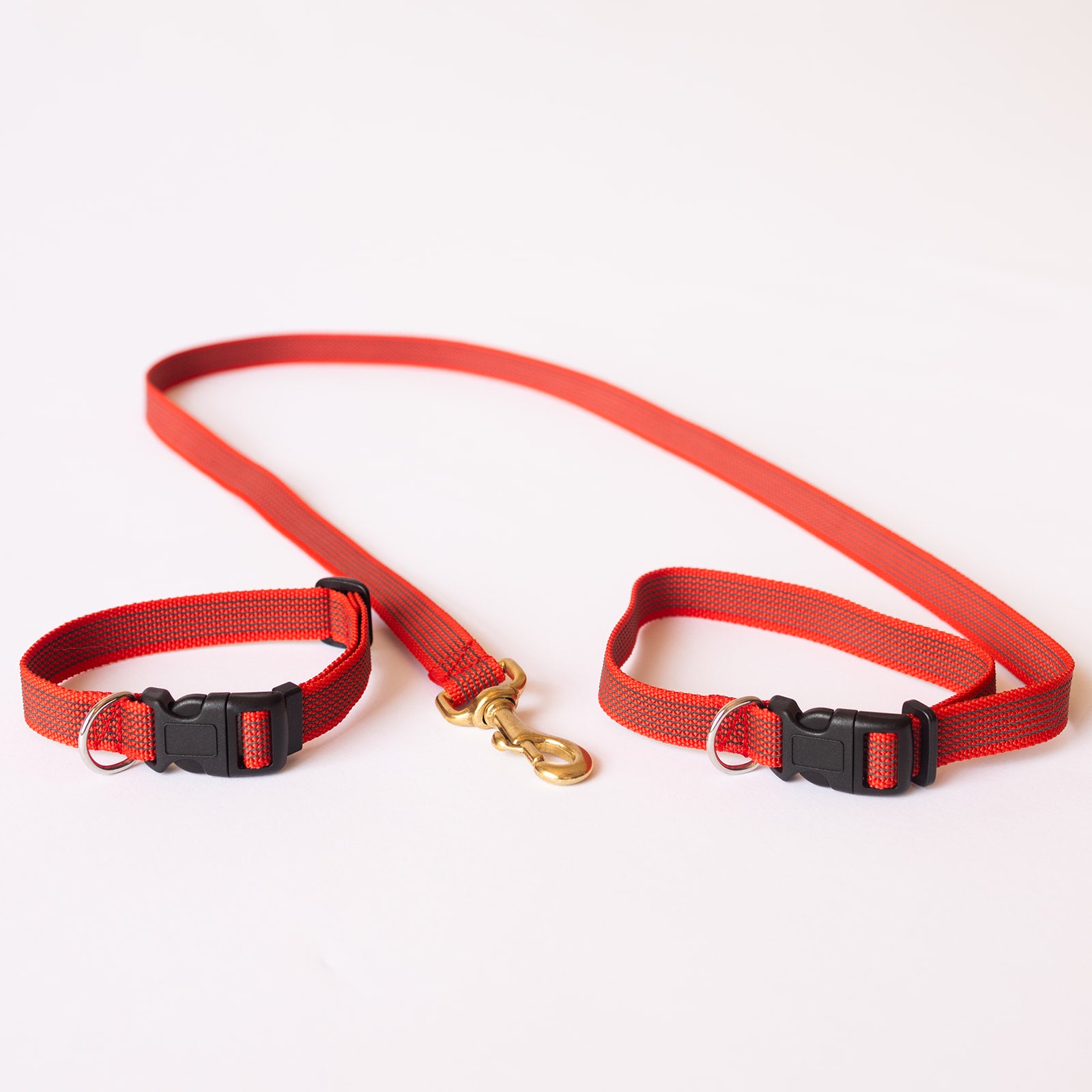 TASAA Dog Collar and Café Snap Stay Lead Set