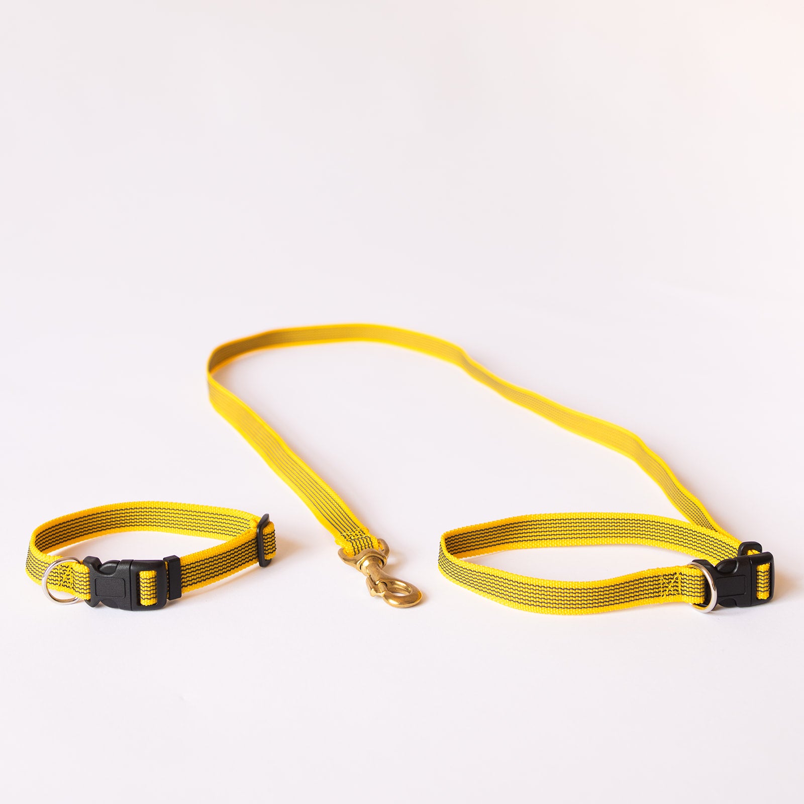 TASAA Dog Collar and Café Snap Stay Lead Set