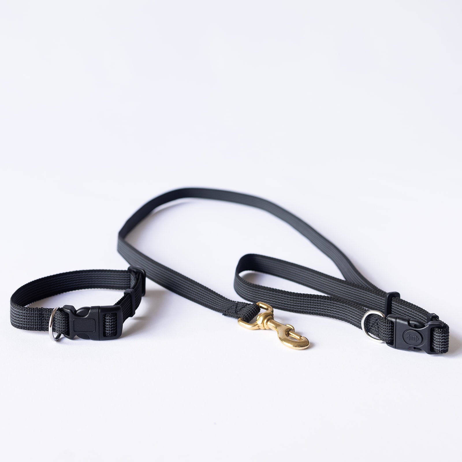 TASAA Dog Collar and Café Snap Stay Lead Set