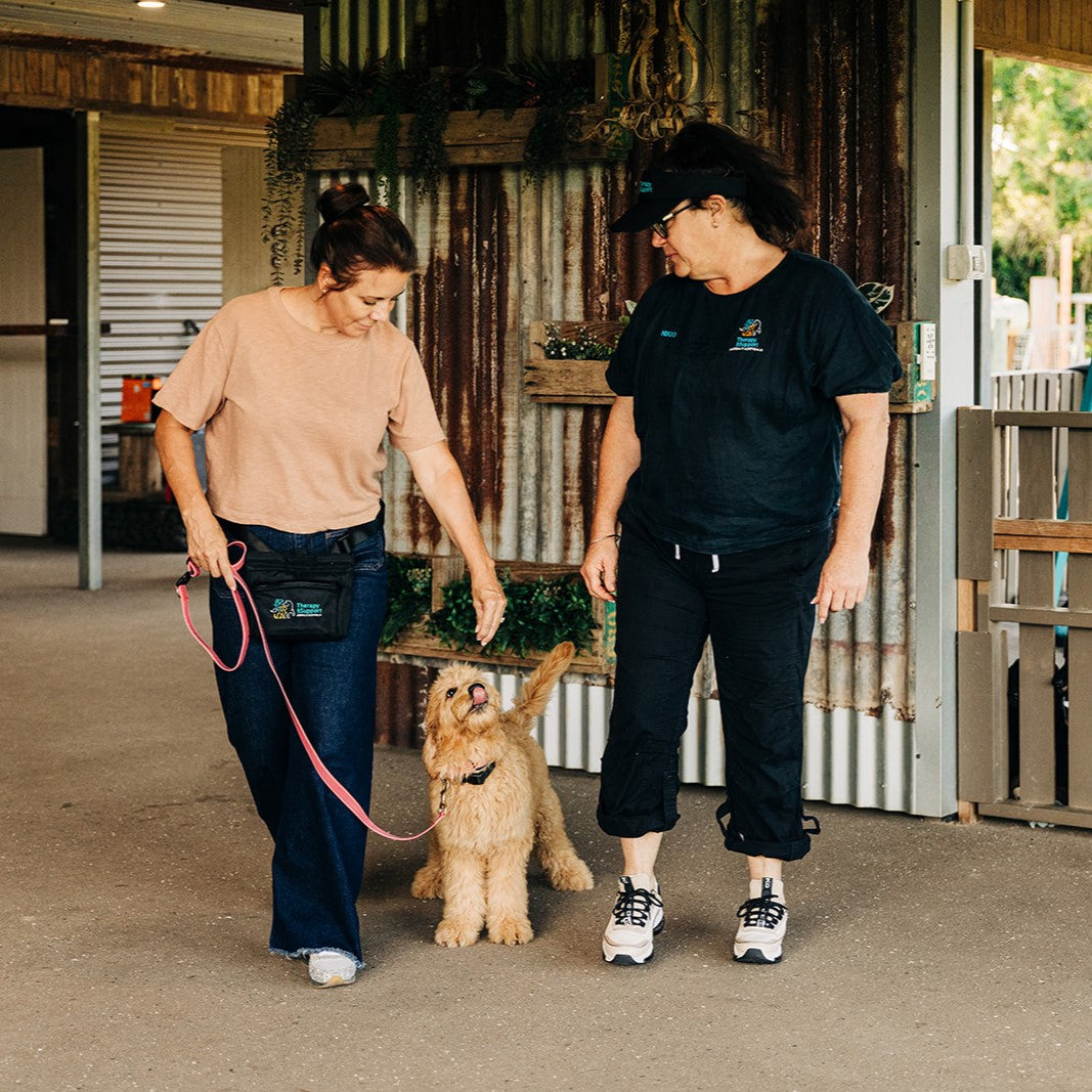 TASAA Dog Collar and Café Snap Stay Lead Set