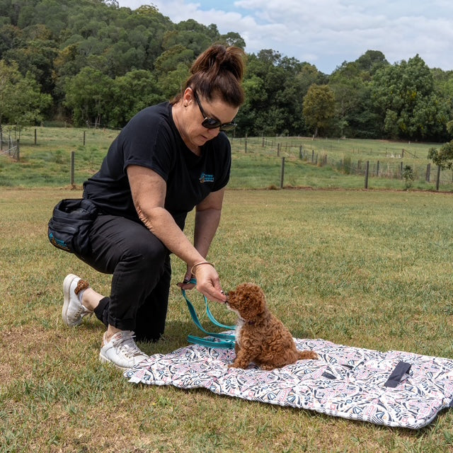 Audrey Roll Up Double‑Sided Dog Training Mat & Bed