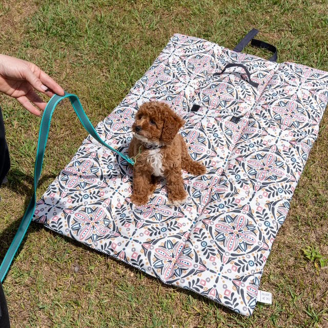 Audrey Roll Up Double‑Sided Dog Training Mat & Bed