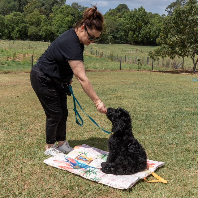 Fire Roll Up Double‑Sided Dog Training Mat & Bed