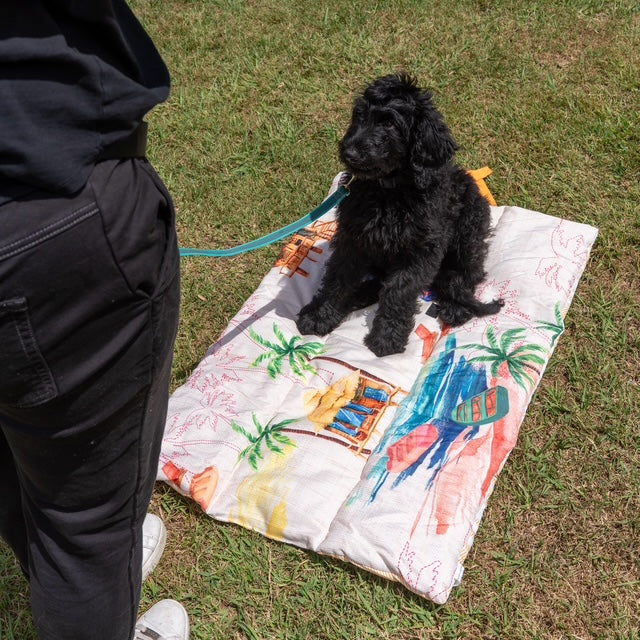 Fire Roll Up Double‑Sided Dog Training Mat & Bed