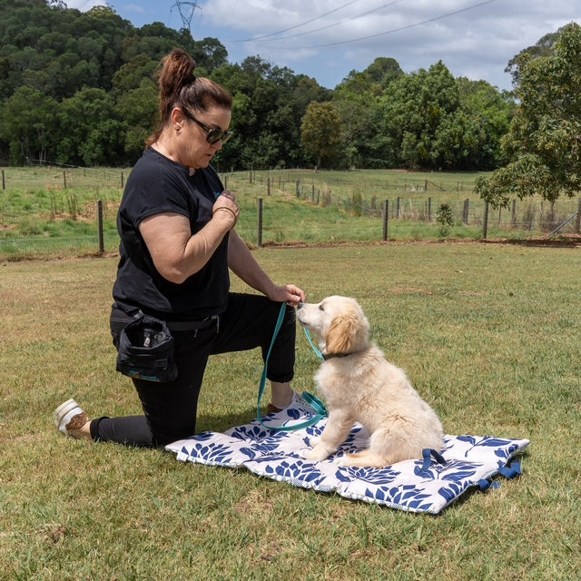 Wulf Roll Up Double‑Sided Dog Training Mat & Bed