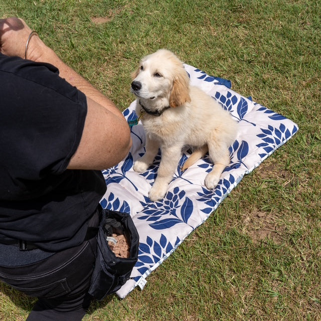 Wulf Roll Up Double‑Sided Dog Training Mat & Bed