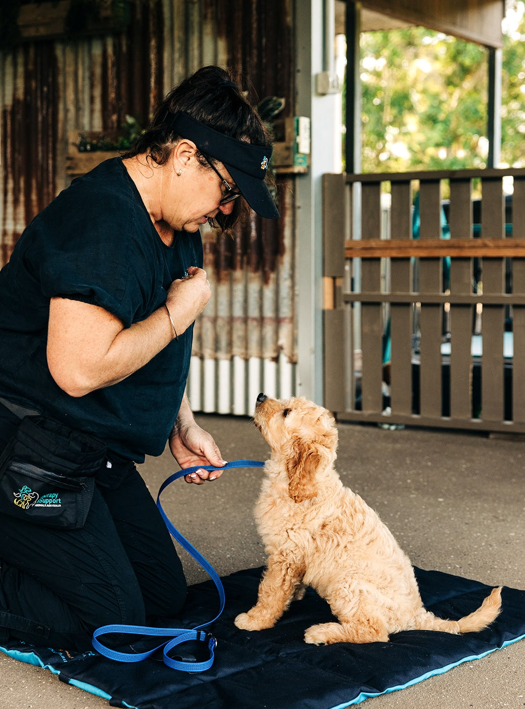 Double-sided dog training mat showing trainer with puppy.  Mat designed for calm training sessions with dogs at home or on the go. 
