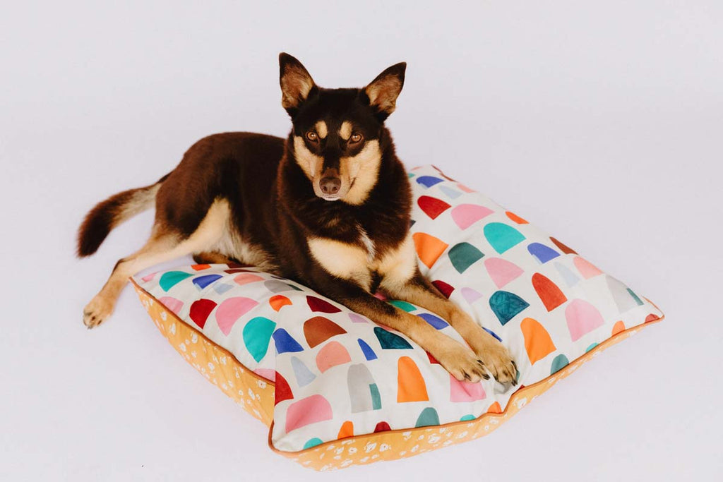 The Yang Double‑Sided Dog Training Mat & Bed