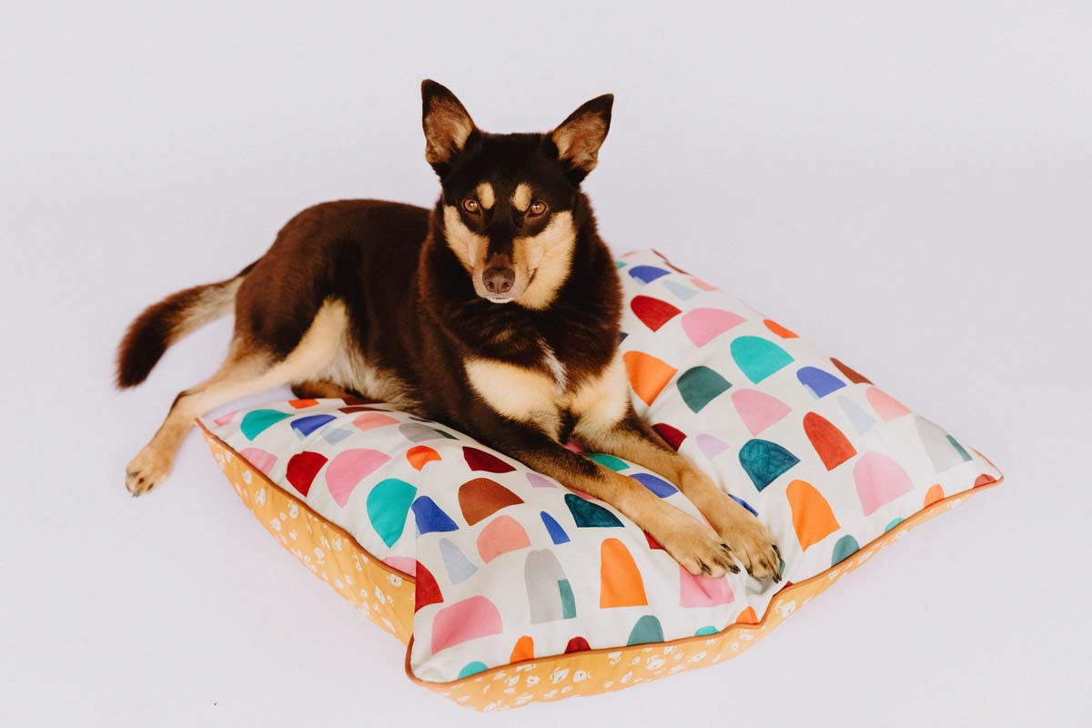 The Yang Double‑Sided Dog Training Mat & Bed