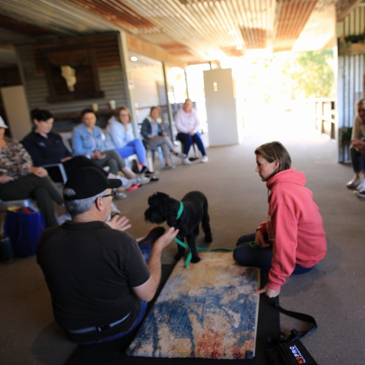 Trainer Dean with 40 years’ experience teaching obedience theory to attendee and Cocker Spaniel at TASAA Brisbane.