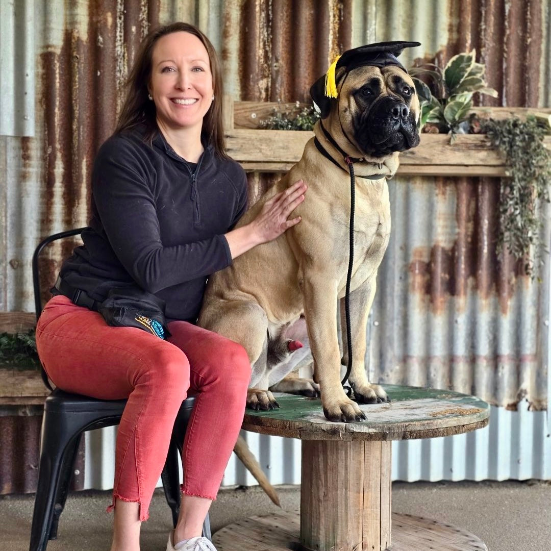 Mastiff and handler in TASAA Intensive Obedience Dog Training Course Australia