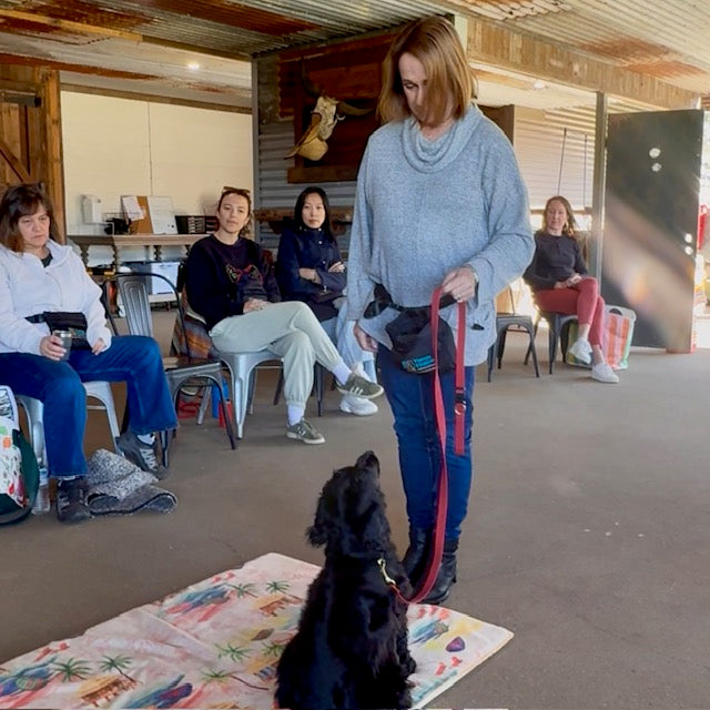 Handler and dog graduating from TASAA intensive obedience training — master calm obedience, recall, leash manners, and behaviour issues like reactivity, pulling & distraction