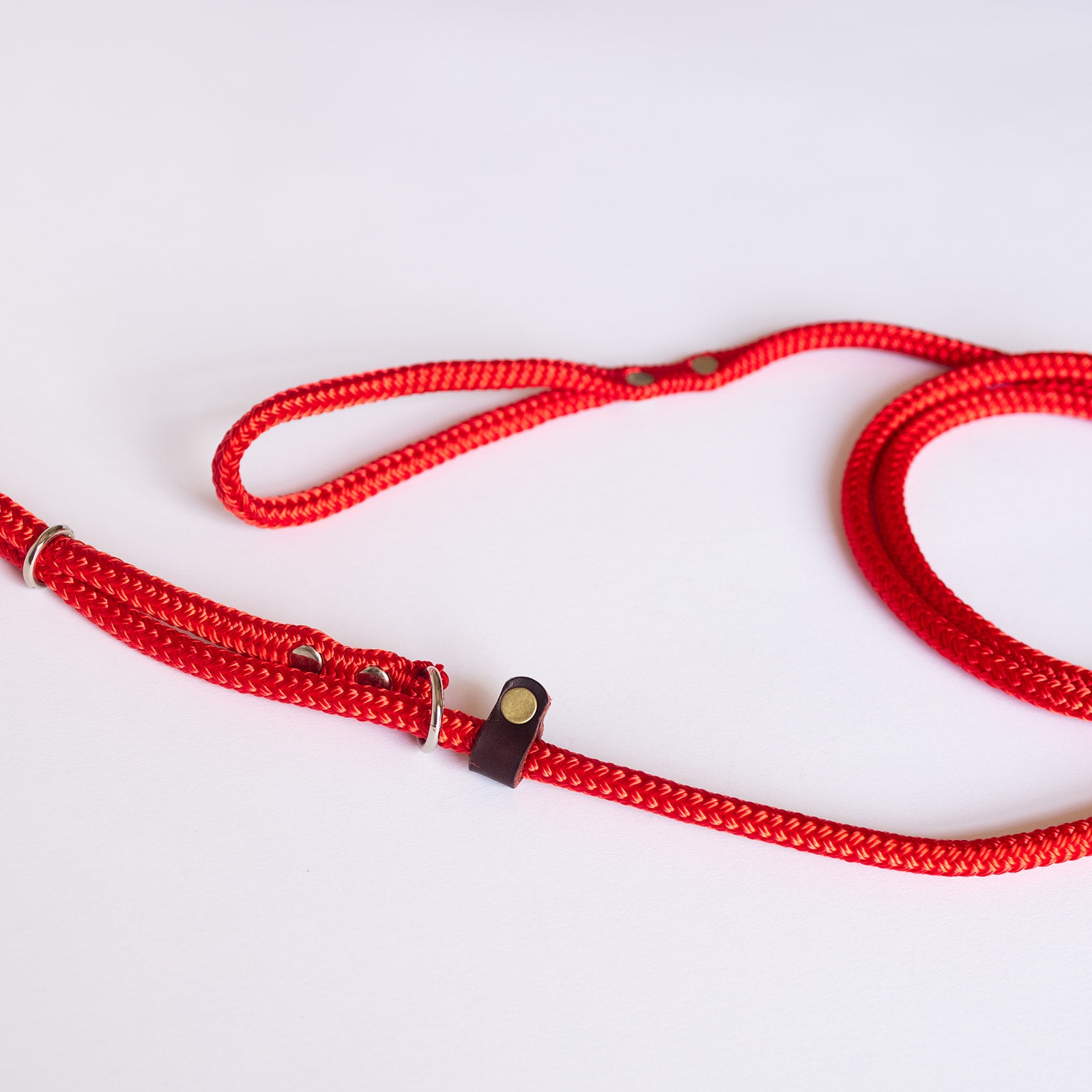 No Pull Lead & Collar All In One – Handmade in Australia