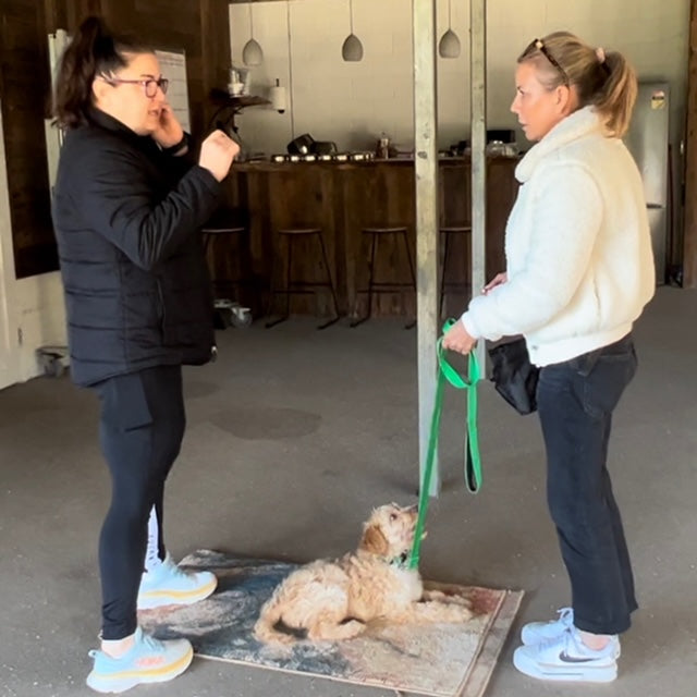 Nikki from TASAA conducting a one-on-one dog training session with a client and their dog, helping improve focus and obedience and reduce separation anxiety.