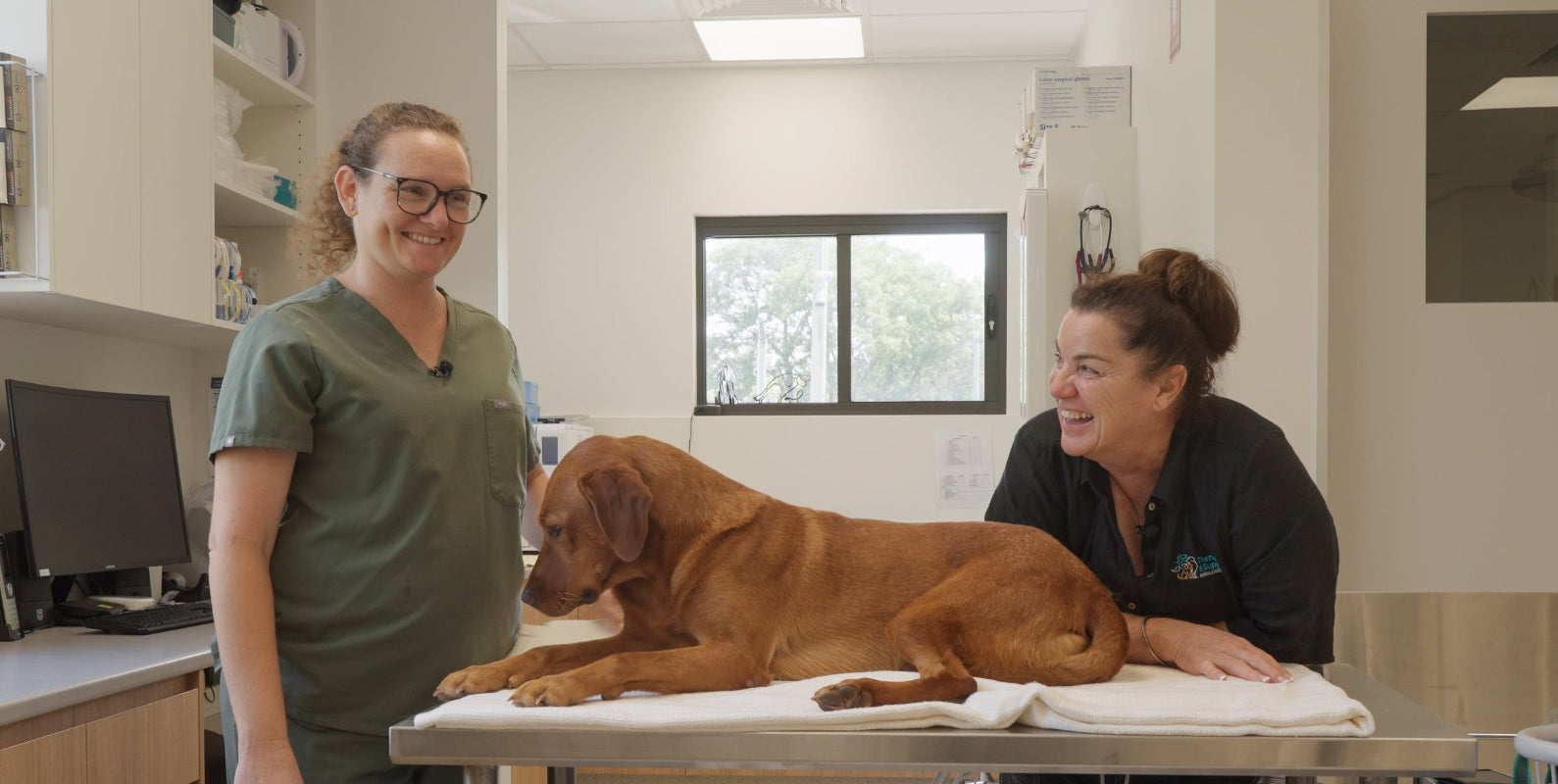 TASAA online dog first aid course for dog owners learning emergency care and safety
