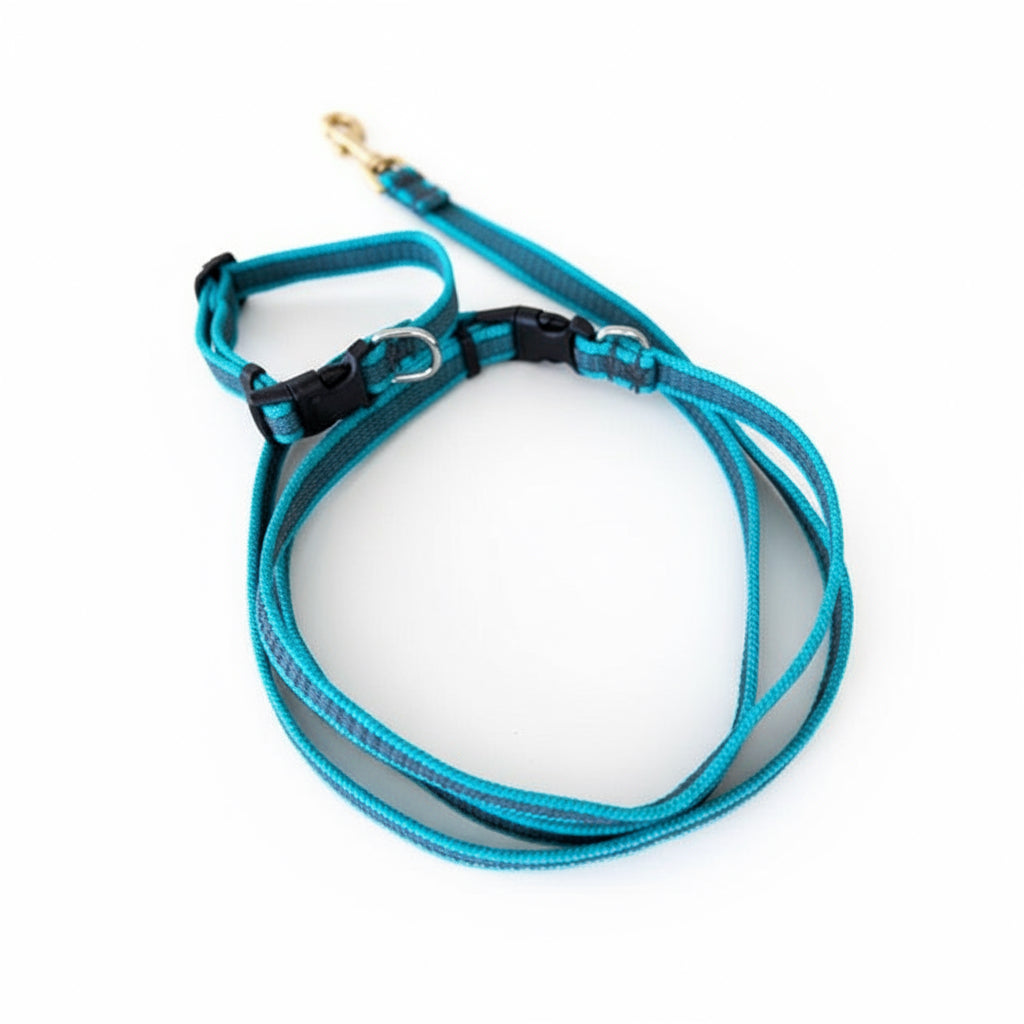 professional trainer approved dog flat lead and collar