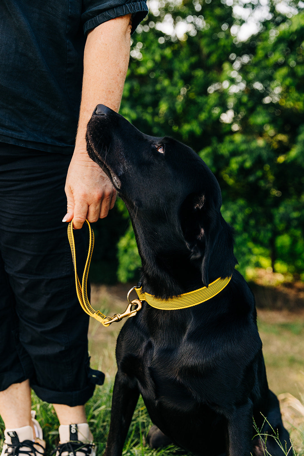 TASAA Snub Lead – Short Dog Lead for Training, Recall & Obedience | Handmade in Australia