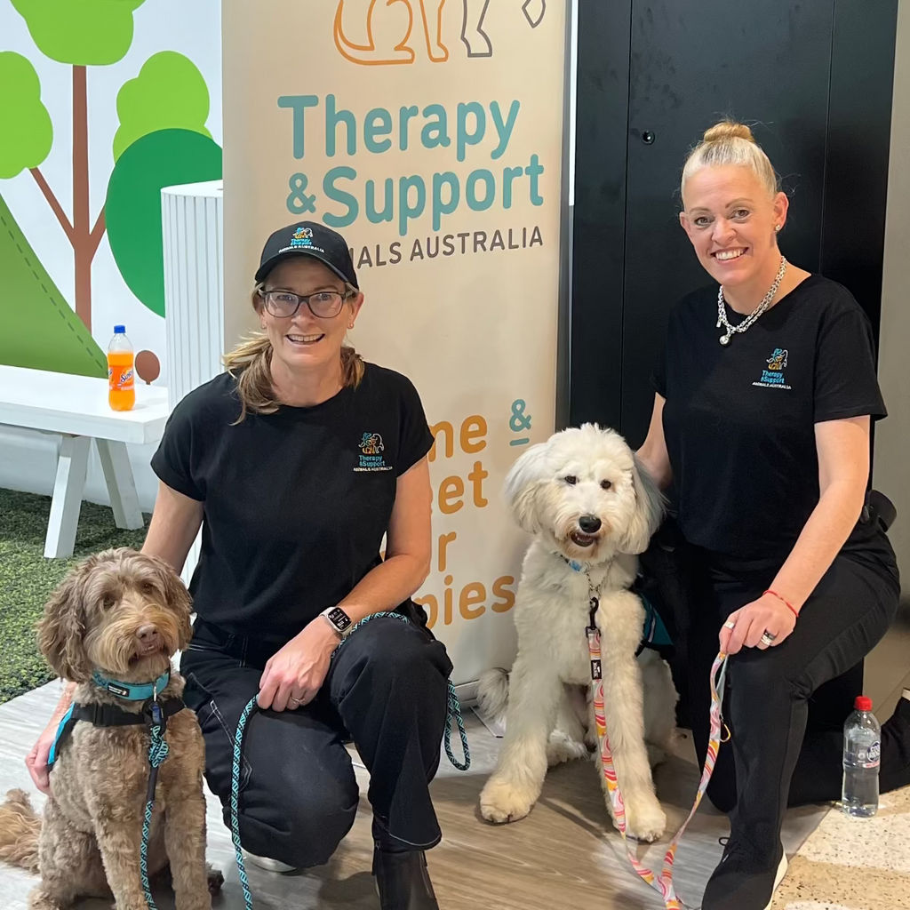 Therapy dogs at Brisbane Airport spreading calm and comfort during therapy dog training.